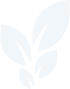 DCC leaf logo